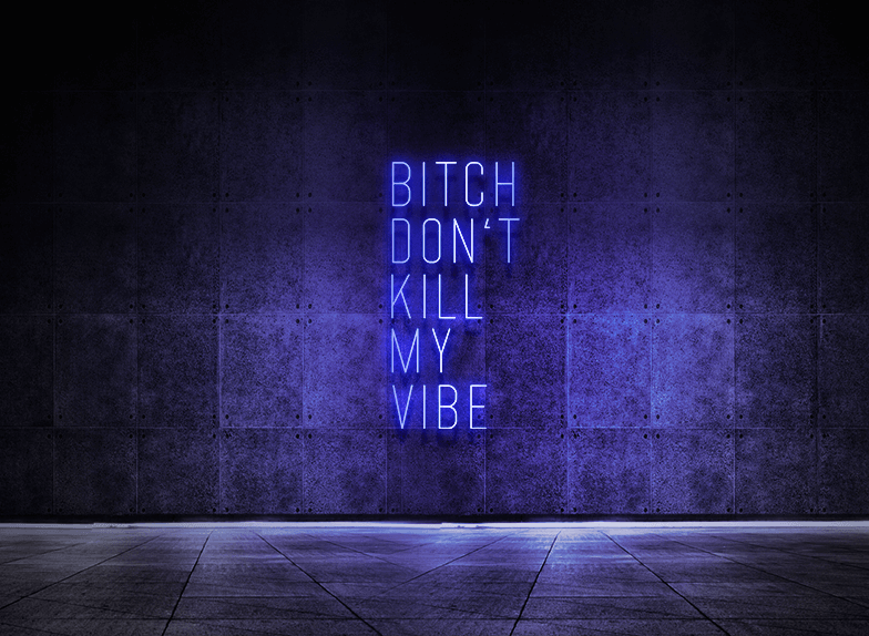 Bitch don't kill my vibe