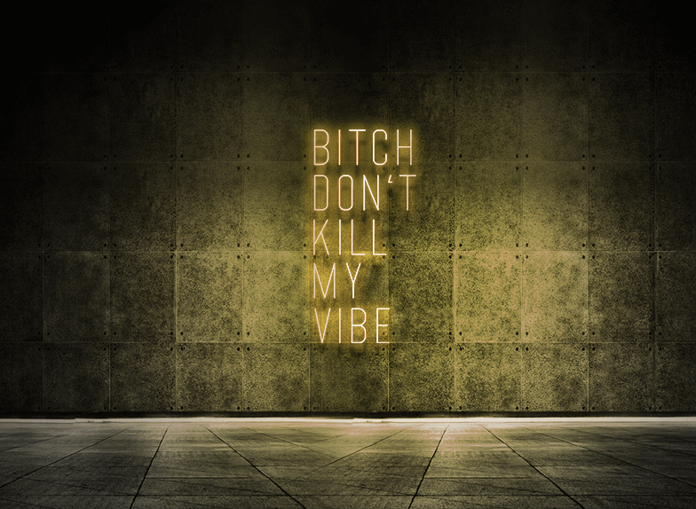 Bitch don't kill my vibe