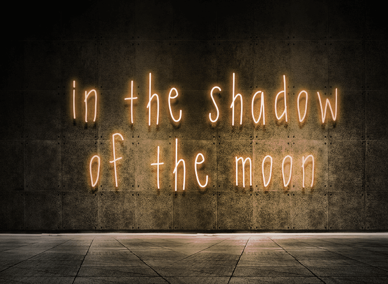 In the shadow of the moon