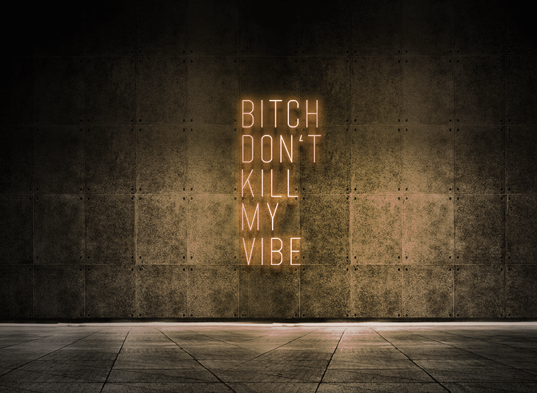 Bitch don't kill my vibe