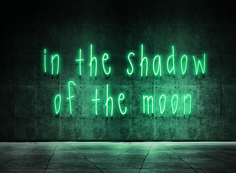 In the shadow of the moon