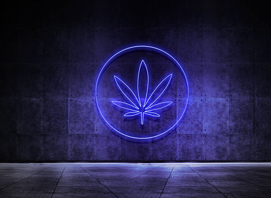 HANF BLATT