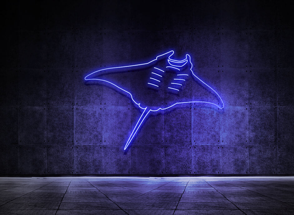 Manta Rochen