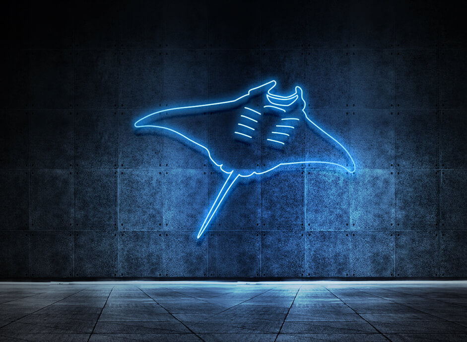 Manta Rochen