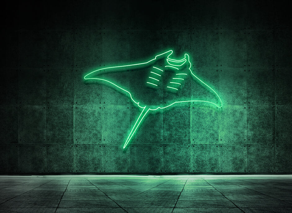 Manta Rochen