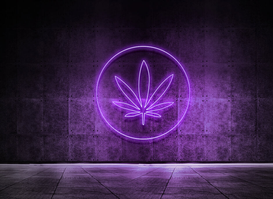 HANF BLATT
