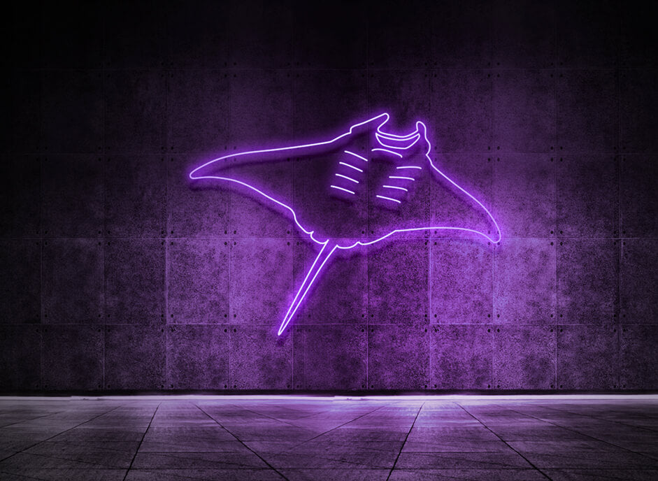 Manta Rochen