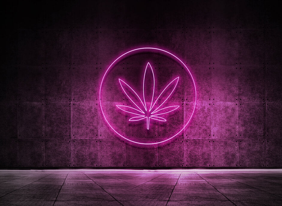 HANF BLATT