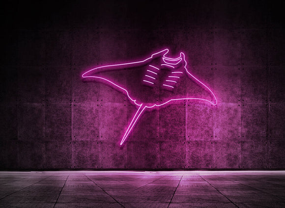 Manta Rochen