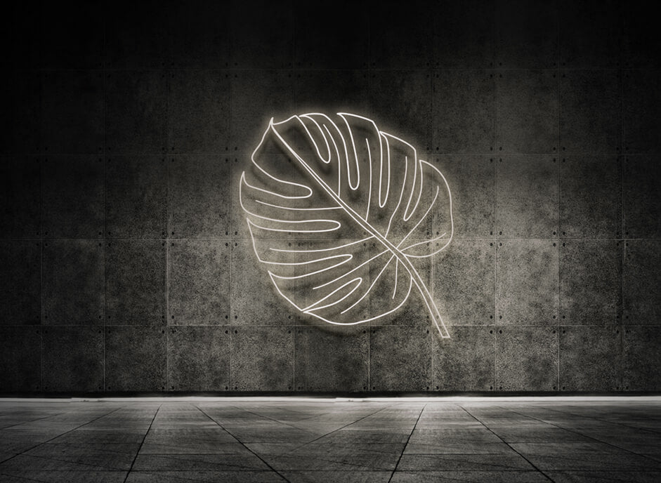 MONSTERA BLATT