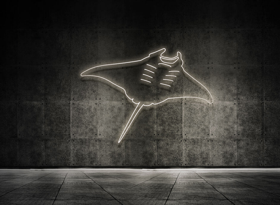 Manta Rochen