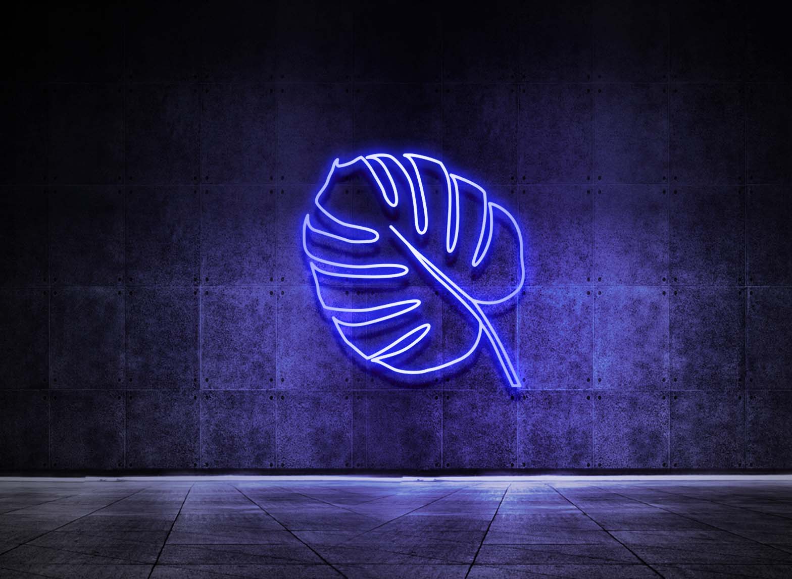 MONSTERA BLATT