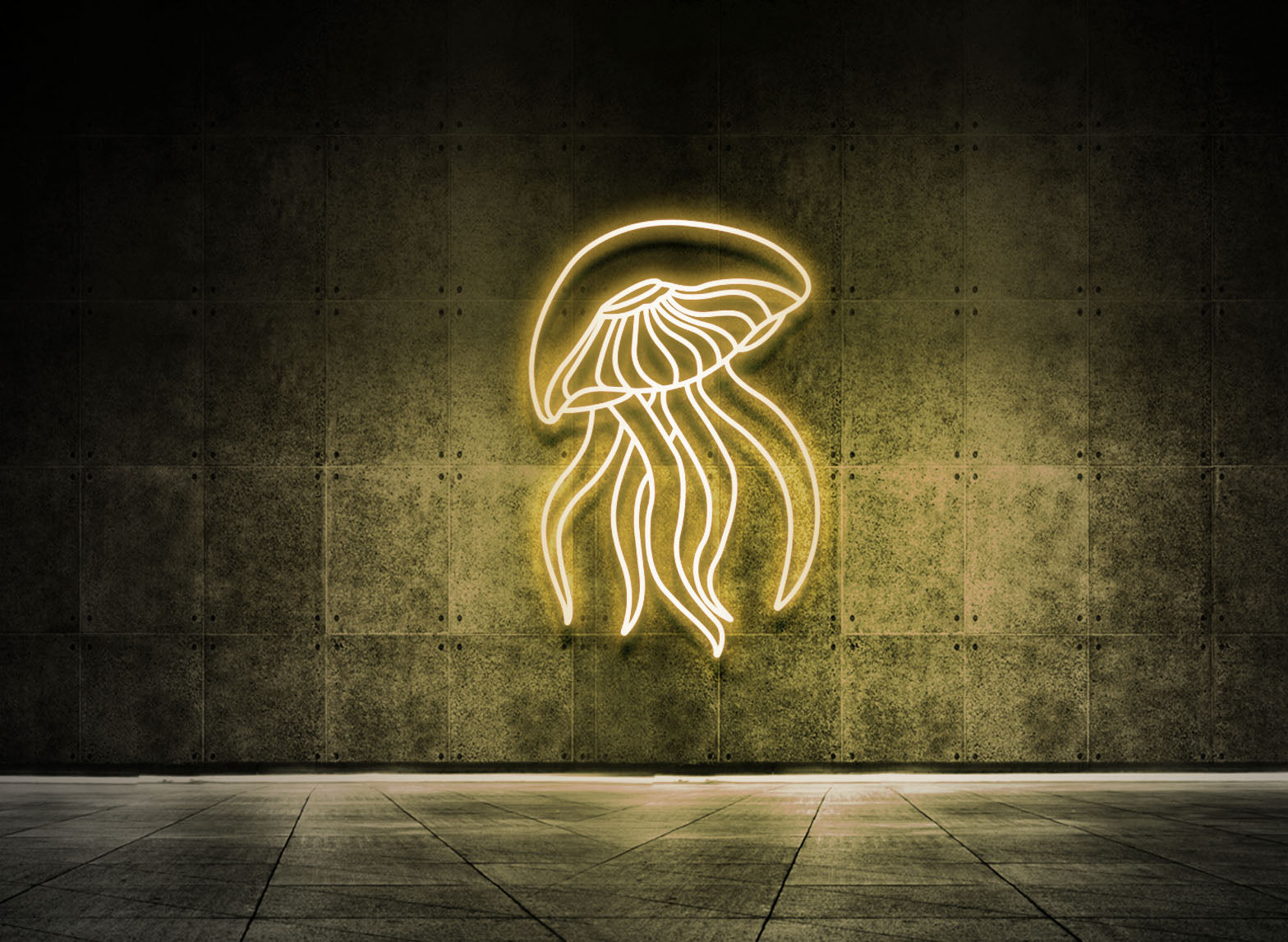 Jellyfish