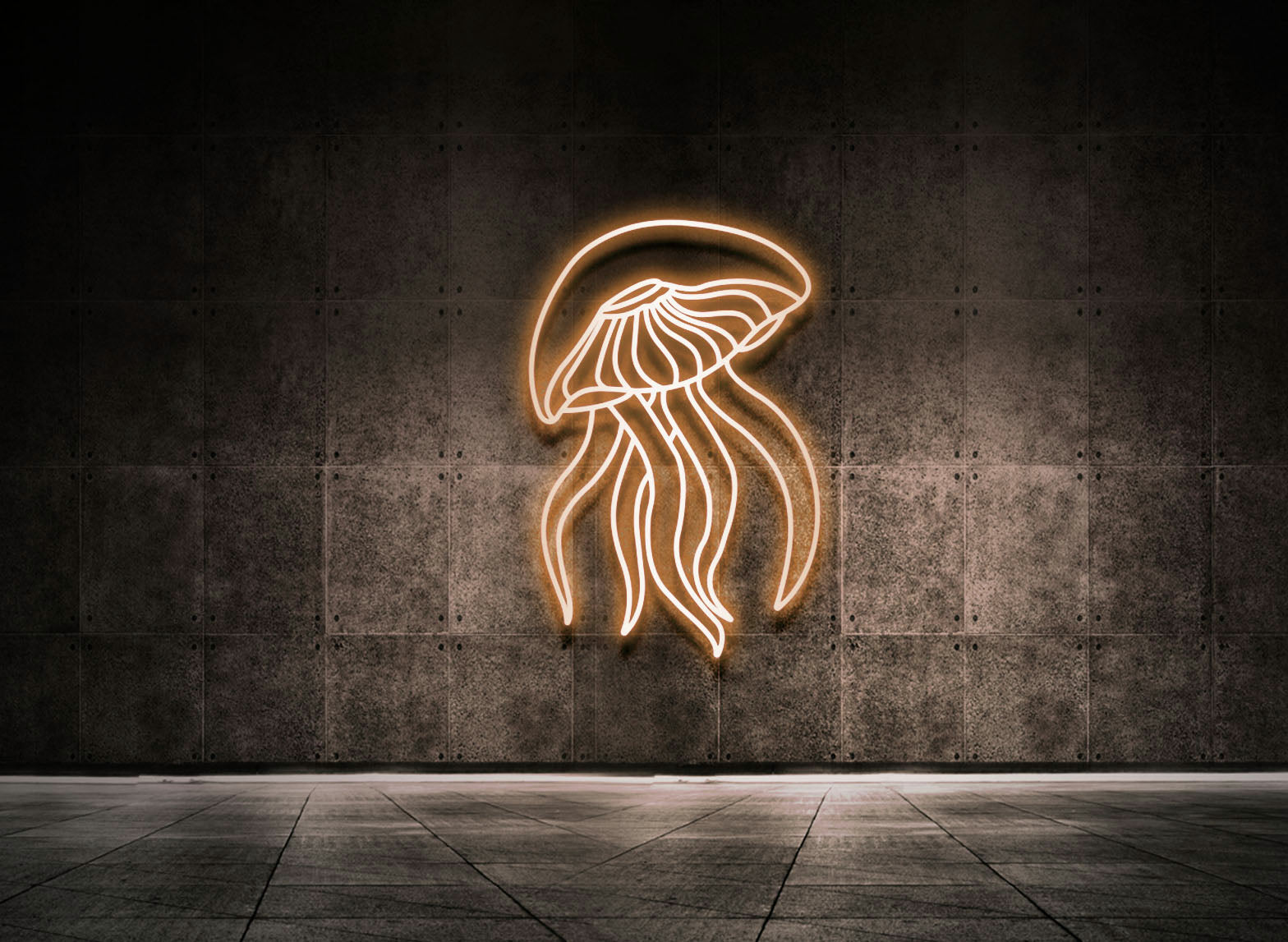 Jellyfish