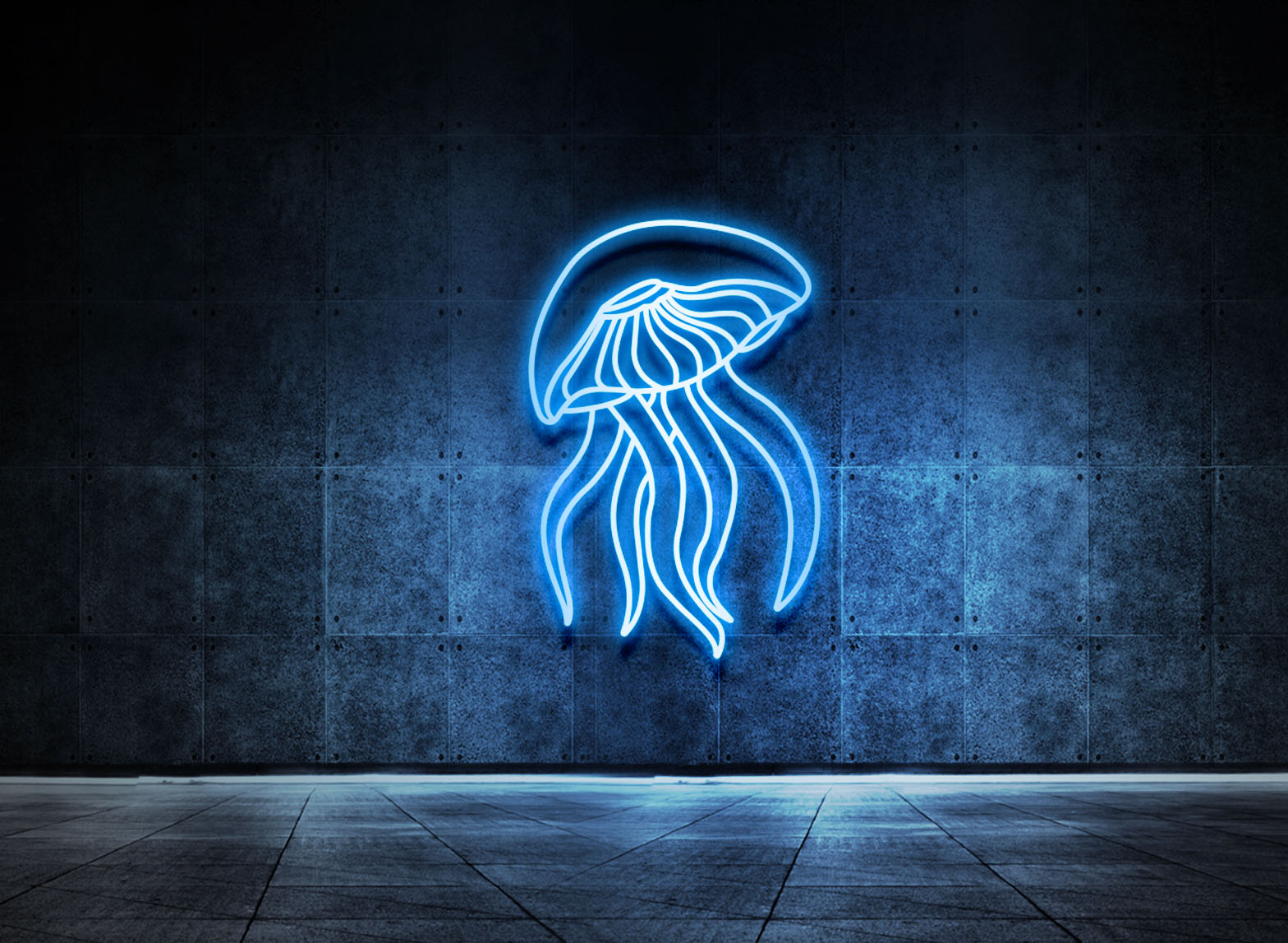 Jellyfish