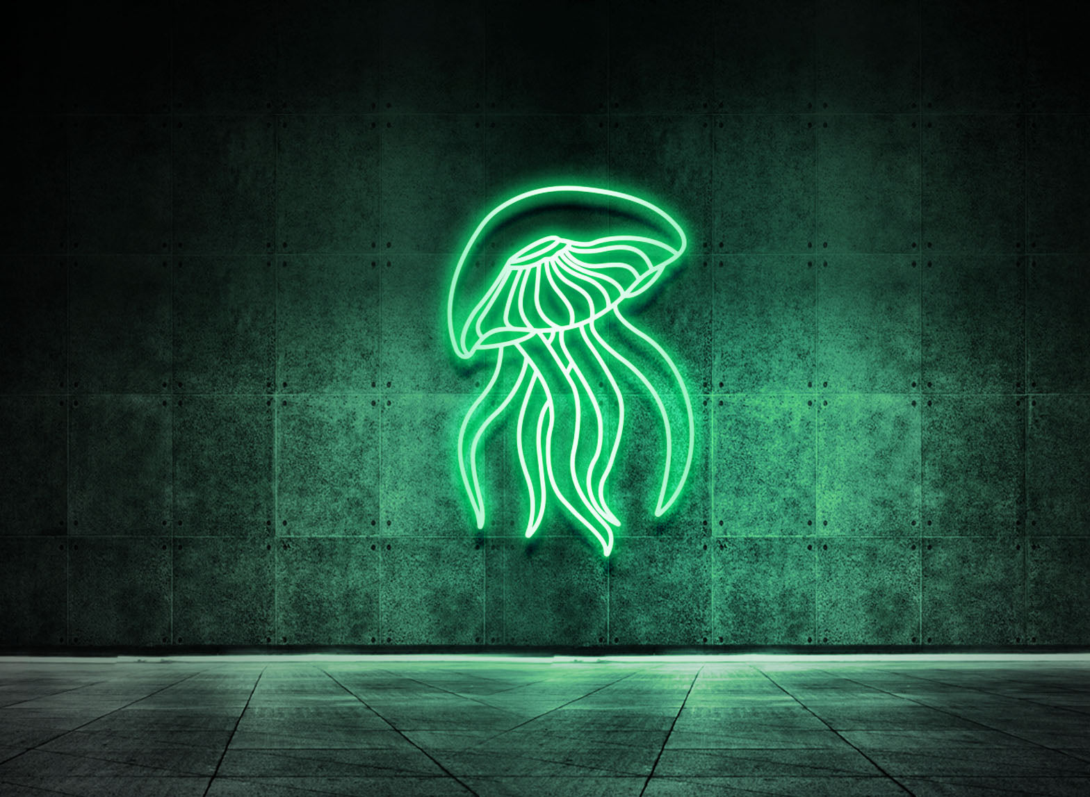 Jellyfish