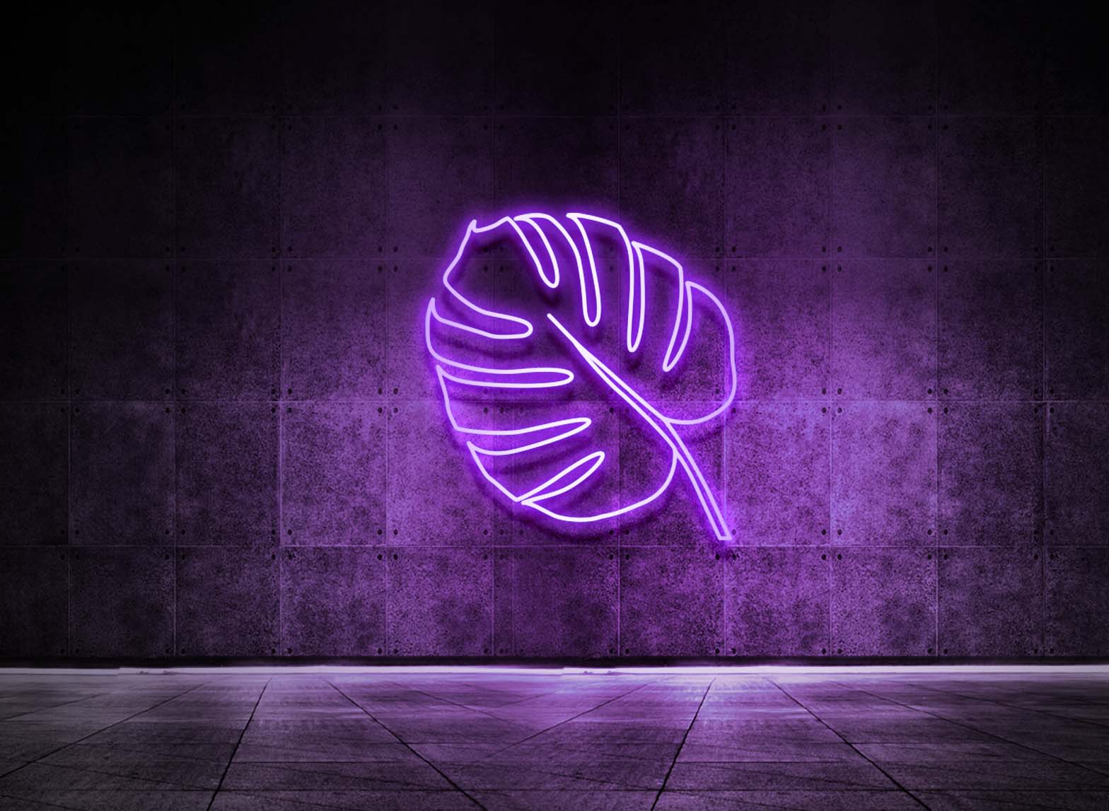 MONSTERA BLATT