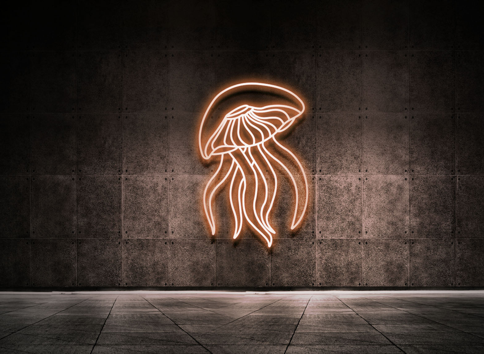 Jellyfish
