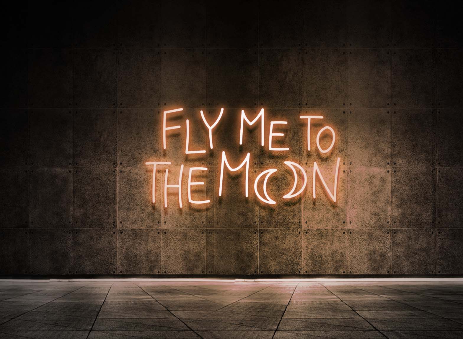 FLY ME TO THE MOON