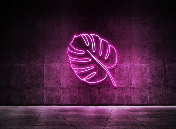 MONSTERA BLATT