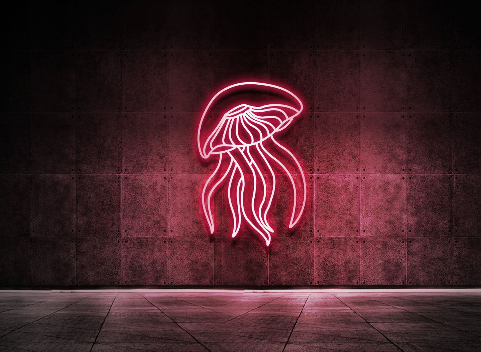 Jellyfish