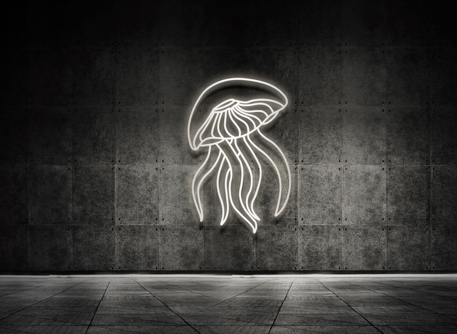 Jellyfish