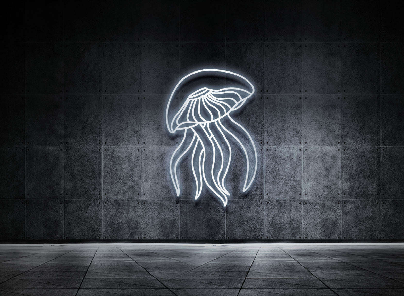 Jellyfish