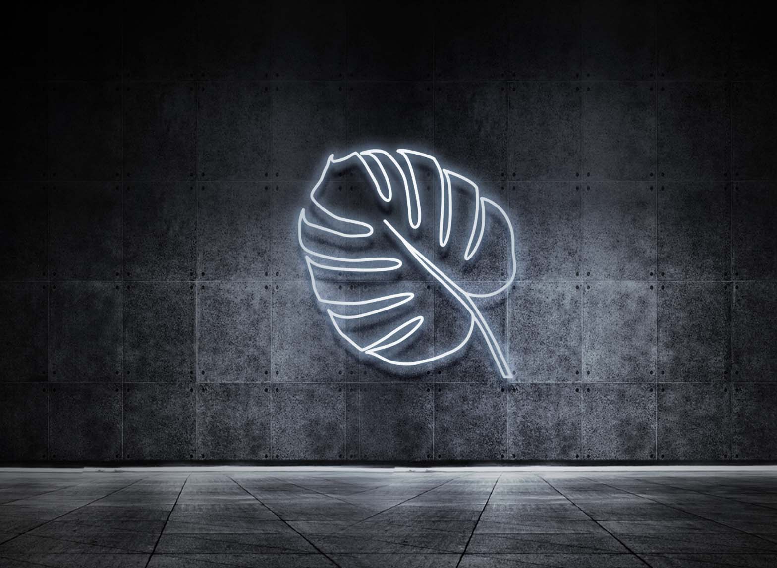MONSTERA BLATT