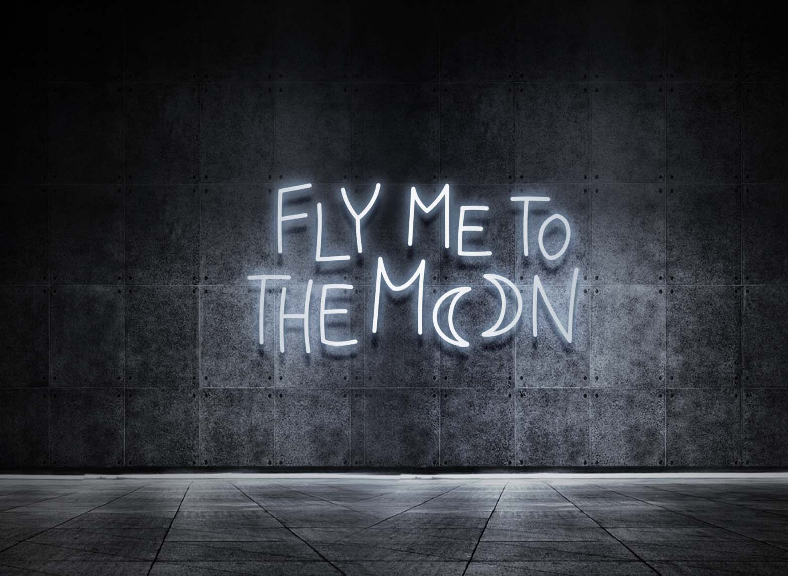 FLY ME TO THE MOON