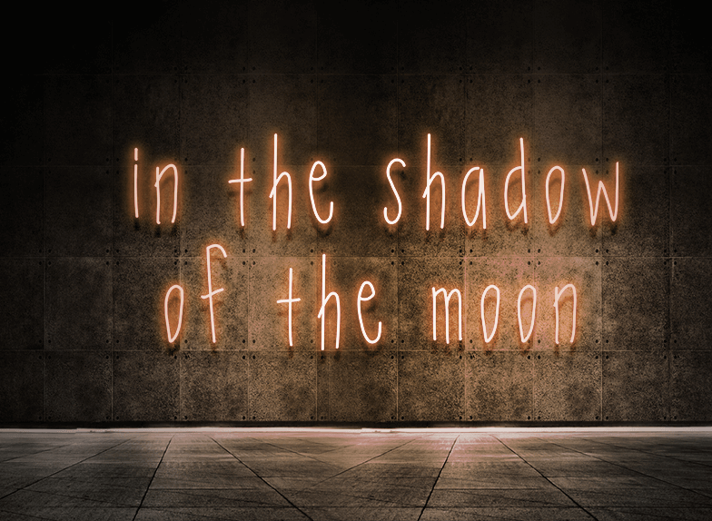 In the shadow of the moon