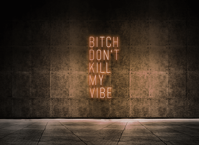 Bitch don't kill my vibe
