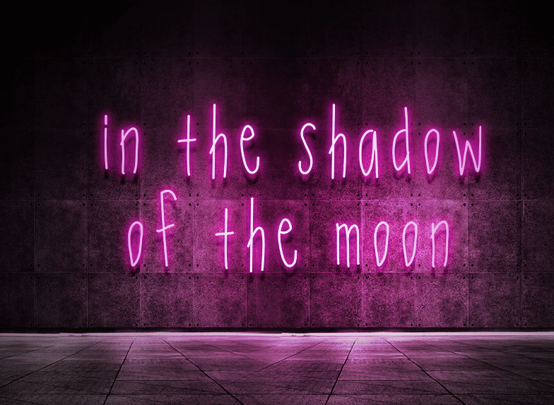 In the shadow of the moon