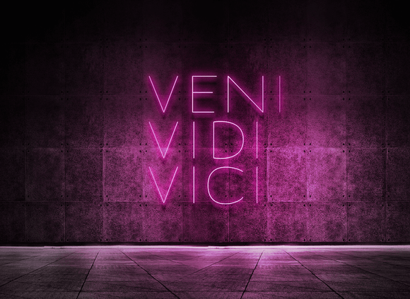 Veni Vidi Vici