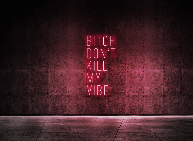 Bitch don't kill my vibe