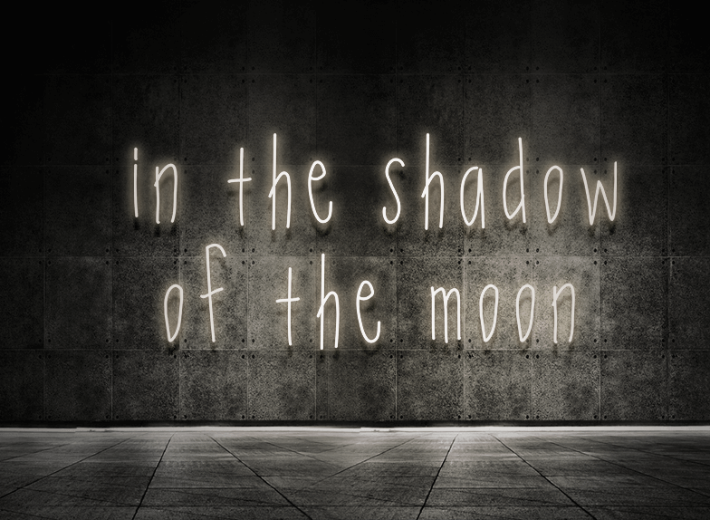 In the shadow of the moon