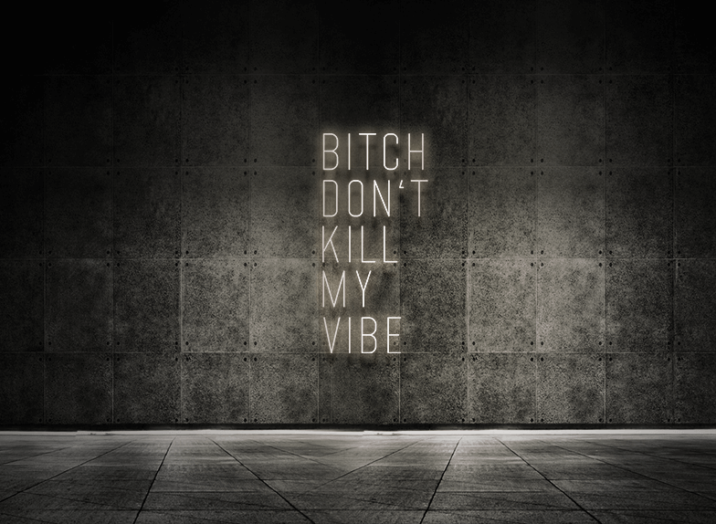 Bitch don't kill my vibe