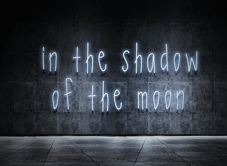 In the shadow of the moon